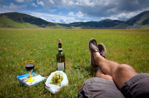 picnic wine