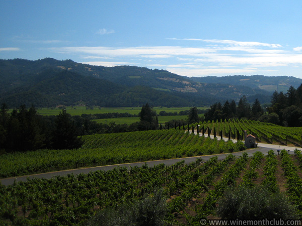Napa-Vineyard