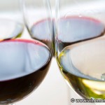 Exceptional Red and White Portuguese Wines: Still in Need of Discovery