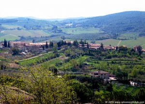 Linzs Italy Vineyard 2016