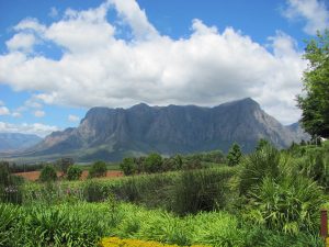 Stellenbosch Wine Country