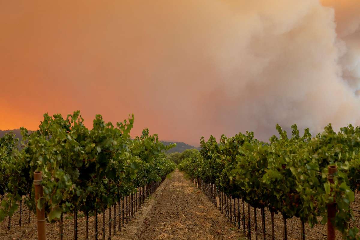 Wildfires Ravage California Wine Country Wine Blog from The