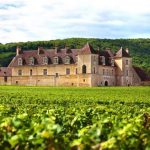 Burgundy: Where Dirt is Destiny