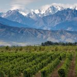 Chile and Argentina: Viven Los Andes