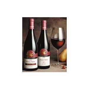 Domaine Alfred Edna Valley Chamisal Vineyards Pinot Noir 1999