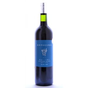 Antucura Calcura Uco Valley Mendoza 2011