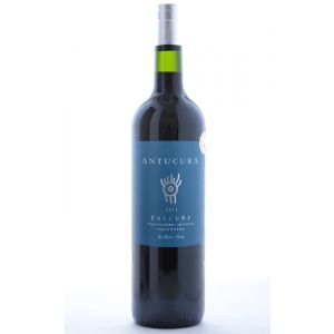 Antucura Calcura Uco Valley Mendoza 2011