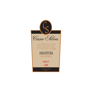 Casa Silva Angostura Gran Reserva Merlot 2009