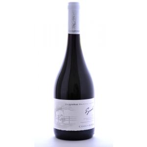 Casas del Bosque Casablanca Valley Pequeñas Producciones Syrah 2014