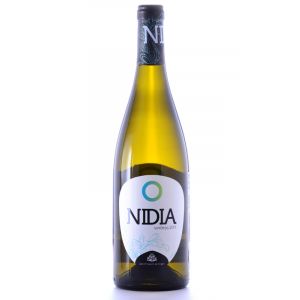 Nidia Rueda Verdejo 2011