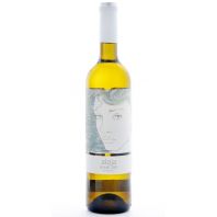 Coca i Fitó Aloja Blanc DO Terra Alta Montsant 2021