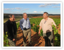 Panel Members Touring Bodega Vinae Mureri in Spain