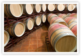 wine barrels in Rioja Spain